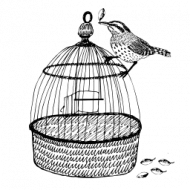 Vintage Icon Lifestyle - Ein freier Vogel vor seinem Käfig