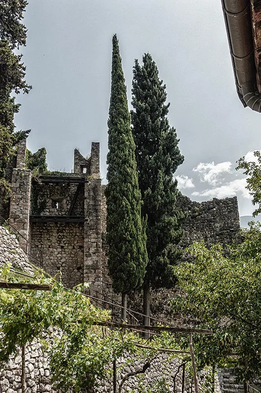 Castello di Avio - Im Inneren der Burg mit liebevoll gepflegten Weinstöcken und windschiefen Zypressen