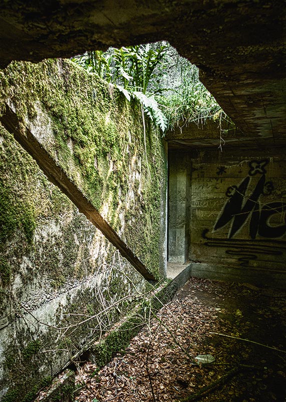 Das Geheimnis von Straß – Moosbewachsene Wände, an denen eigentlich eine Treppe entstehen sollte