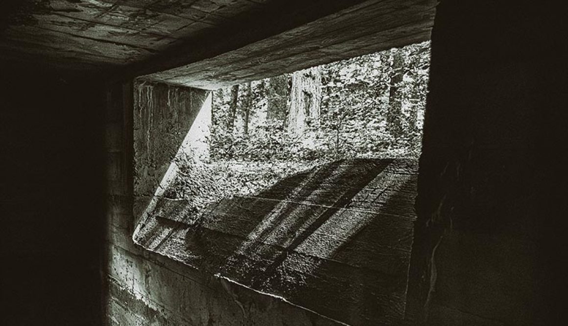 Das Geheimnis von Straß – Karge Betonfragmente mitten in einem Buchenwald