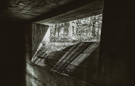 Das Geheimnis von Straß – Karge Betonfragmente mitten in einem Buchenwald