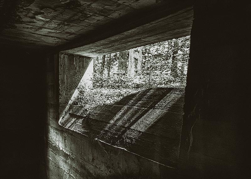 Das Geheimnis von Straß – Karge Betonfragmente mitten in einem Buchenwald