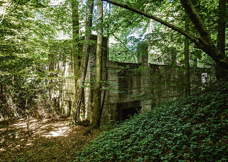 Das Geheimnis von Straß – Karge Betonfragmente im Wald