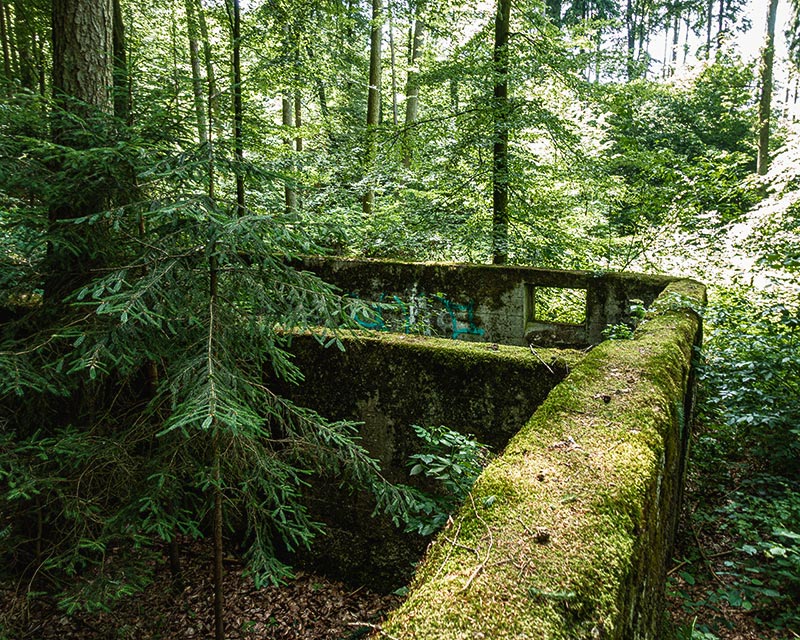 Das Geheimnis von Straß – Mit Moos überwucherte Grundmauern mitten im Wald